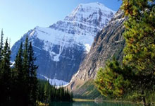 PG在线网站-拜仁慕尼黑前锋近期状态异常火爆，成为球队得分王