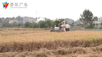 PG电子官方-北威尔士连胜捧起丰收,落败卡赞